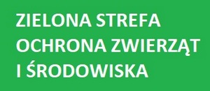 Zielona strefa